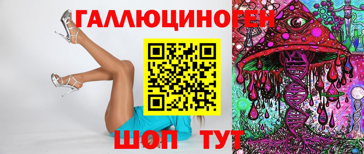 Псилоцибиновые грибы Psilocybine cubensis Касимов