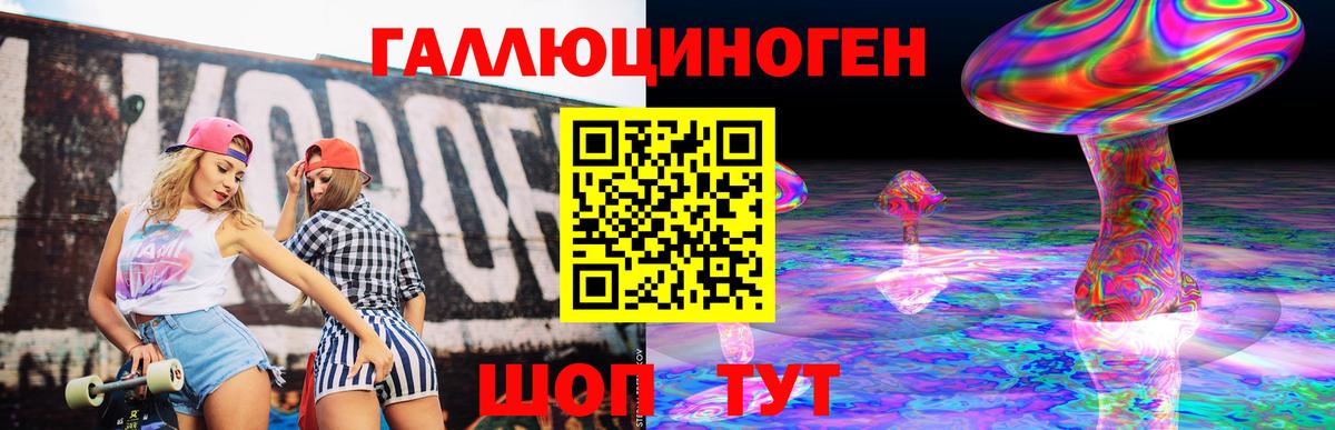 Касимов  Галлюциногенные грибы Psilocybe  Вход с VPN 